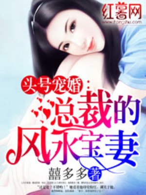 总裁的风水宝妻小说免费封面