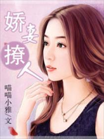 嬌妻撩人小说封面
